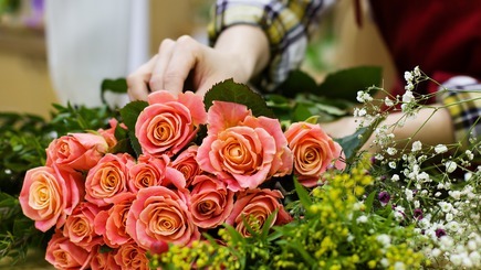 Die besten Blumengeschäfte in Saarbrücken. Bewertungen und Preise in Deutschland